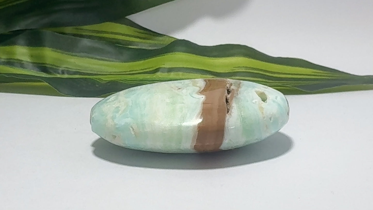 Blue Caribbean Calcite Palm Stone 126g