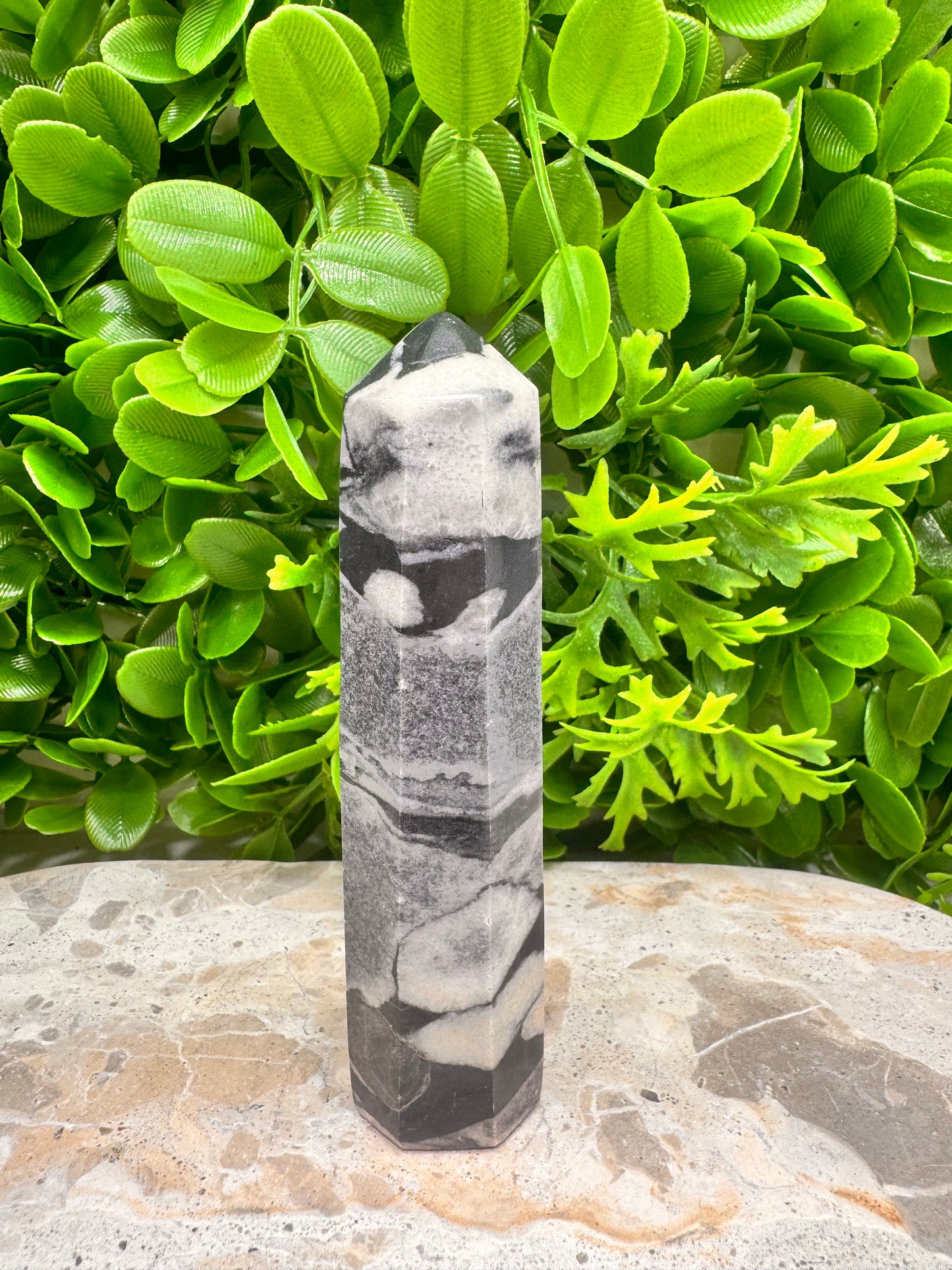 Shell Jasper Tower 220g
