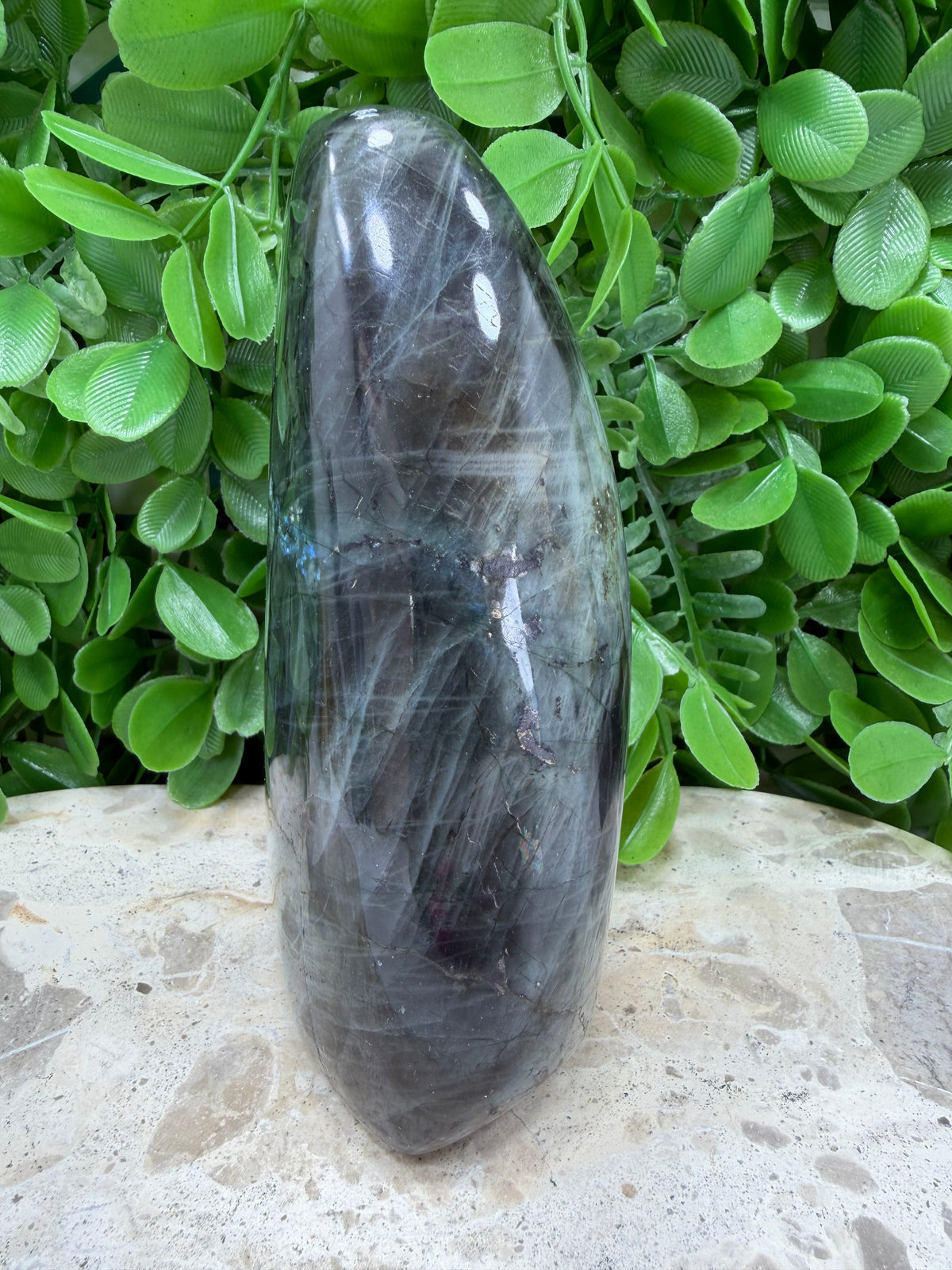 Labradorite Freeform | Protection • Intuition • Transformation