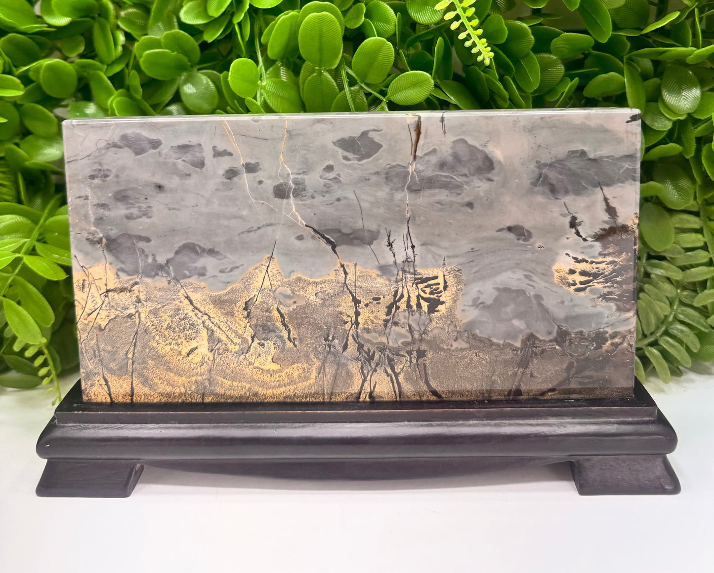 Picture Jasper in Stand 840g