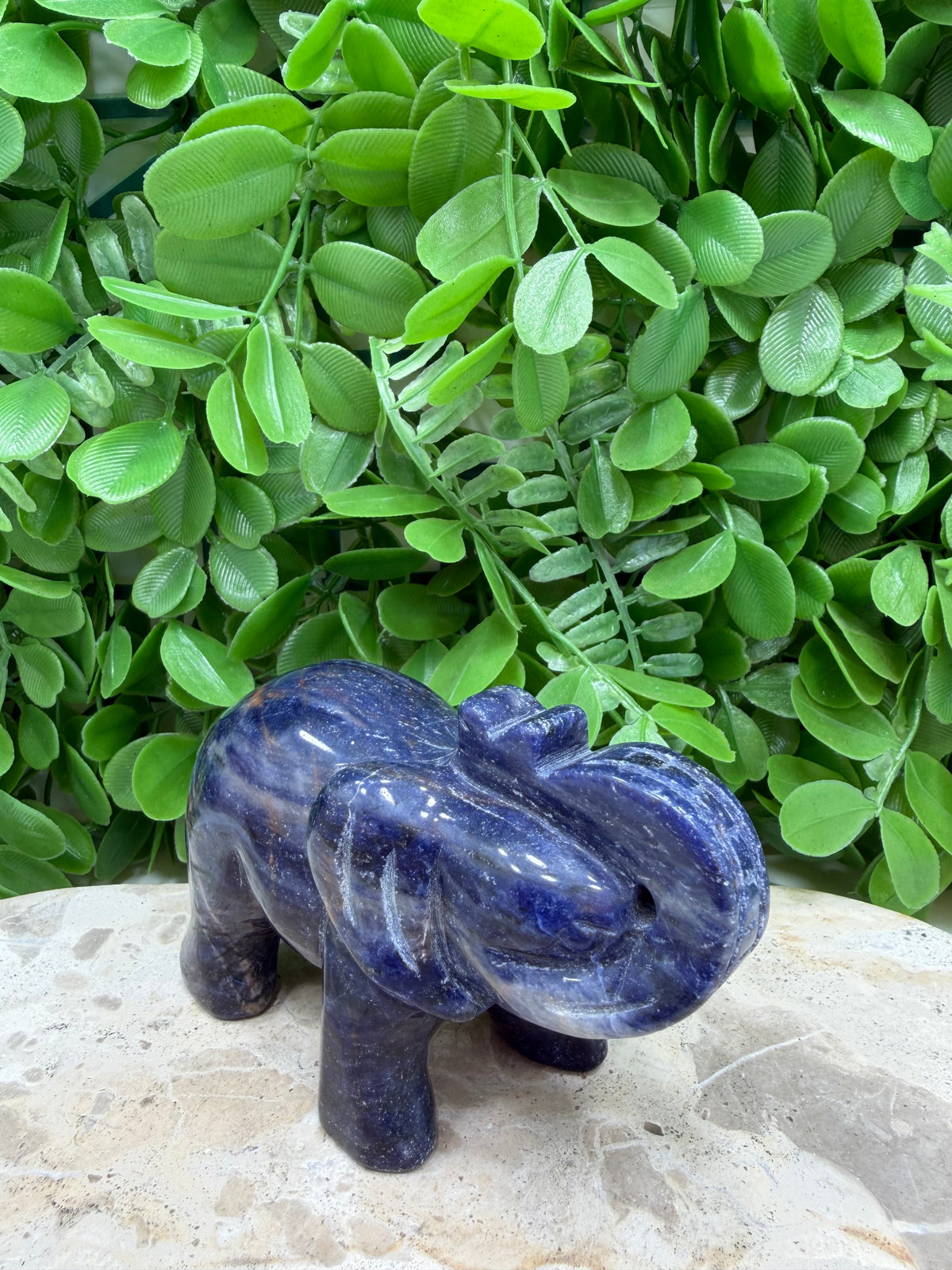 Sodalite Elephant 408g | Intuition • Communication • Clarity