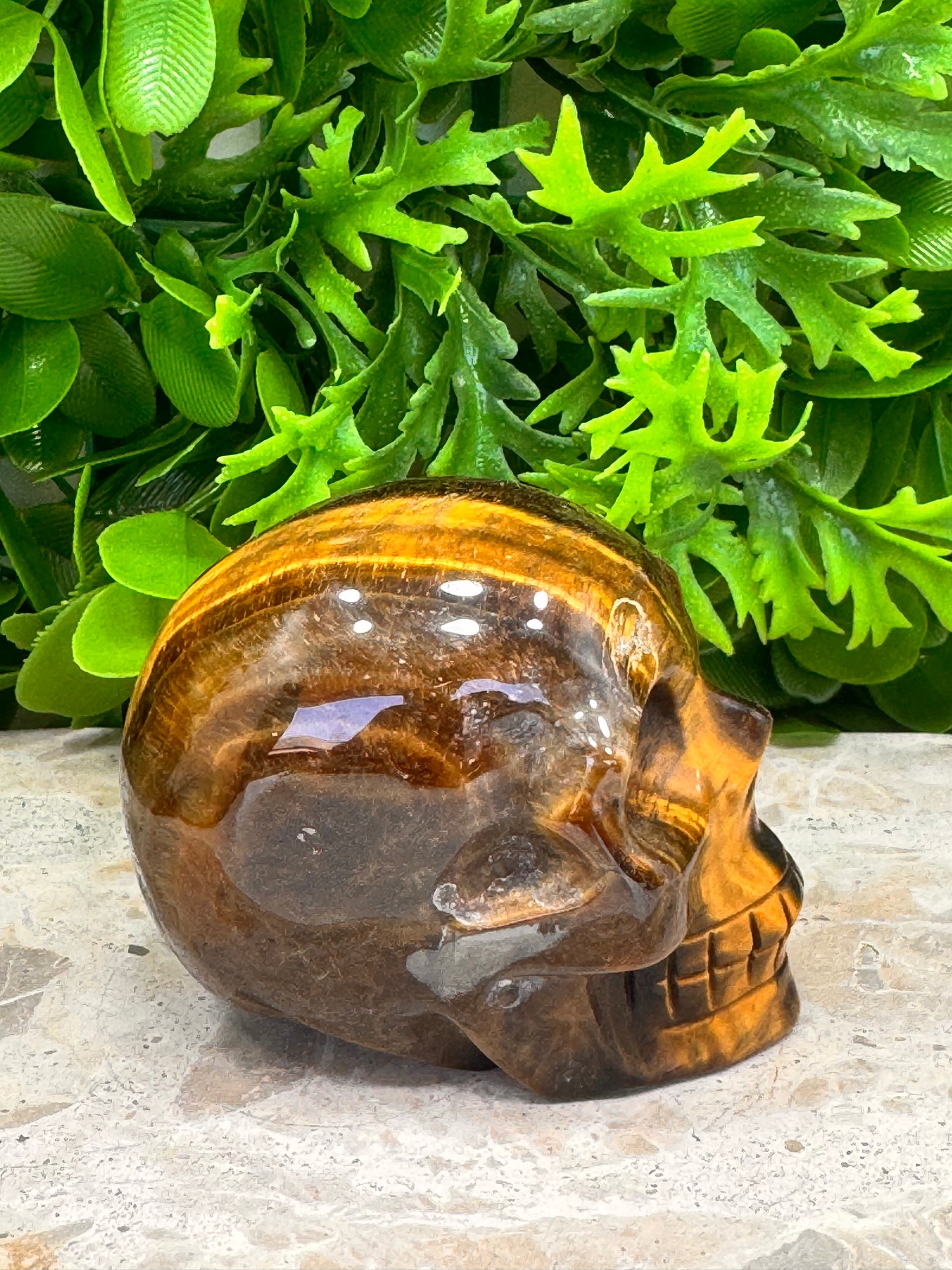Tiger Eye Skull 386g