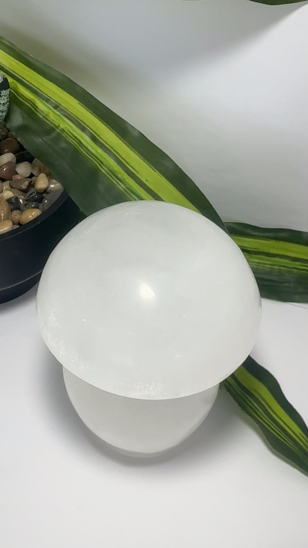 Selenite Mushroom with Light Base 1.7kg