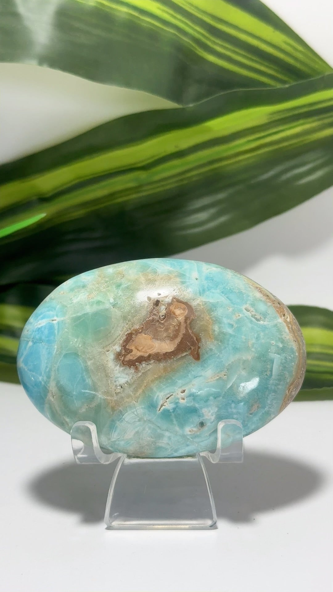Blue Aragonite Palm Stone 172g