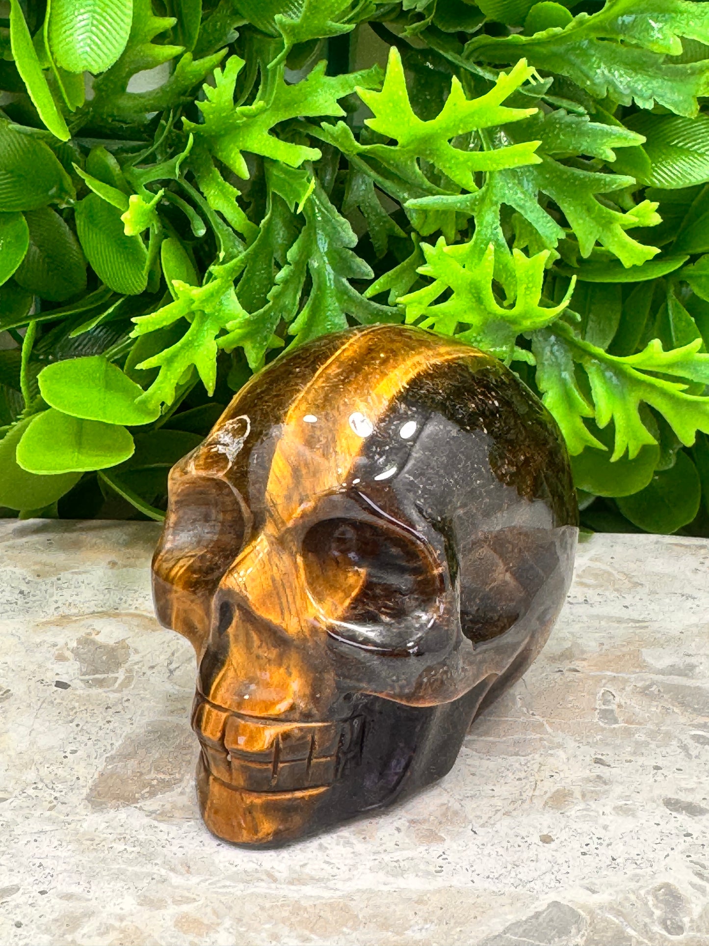 Tiger Eye Skull 386g