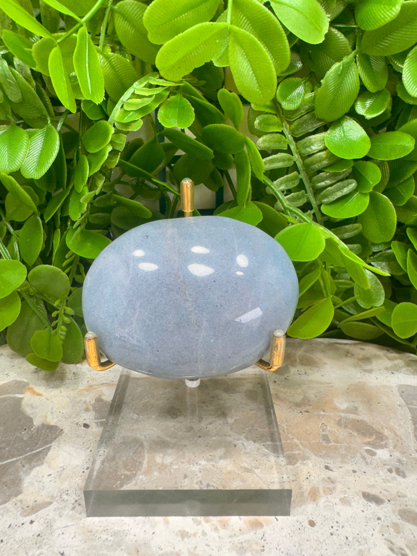Trolleite Palm Stone 139g