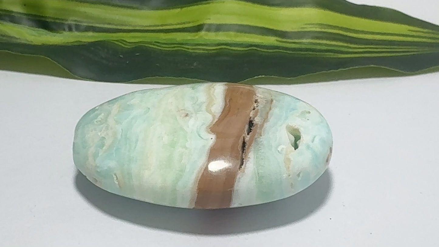 Blue Caribbean Calcite Palm Stone 126g