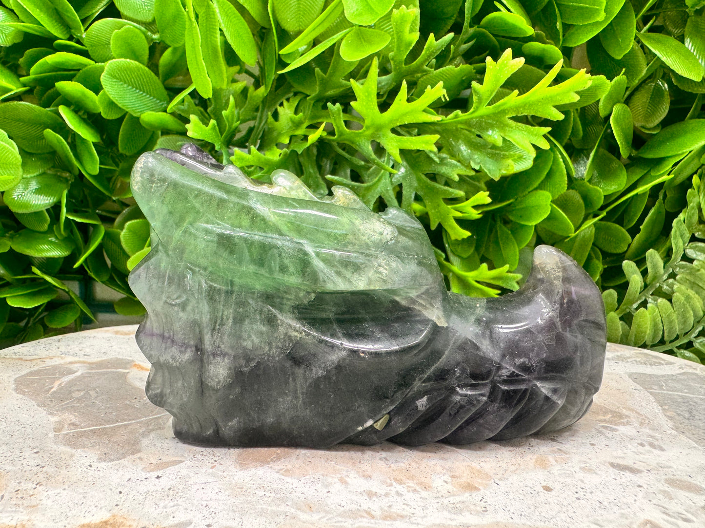 Green Purple Fluorite Dragon 588g