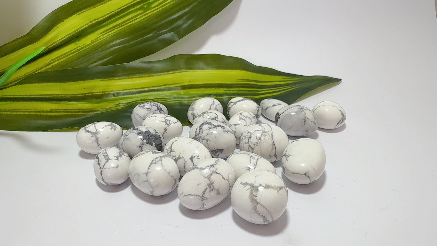 Howlite Tumbles
