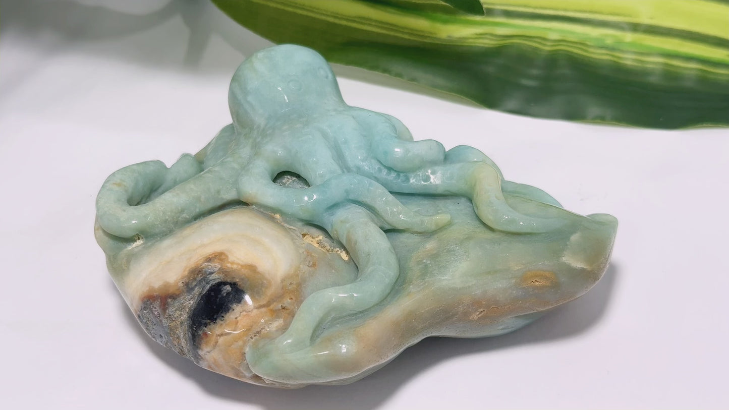 Amazonite Octopus Carving 600g