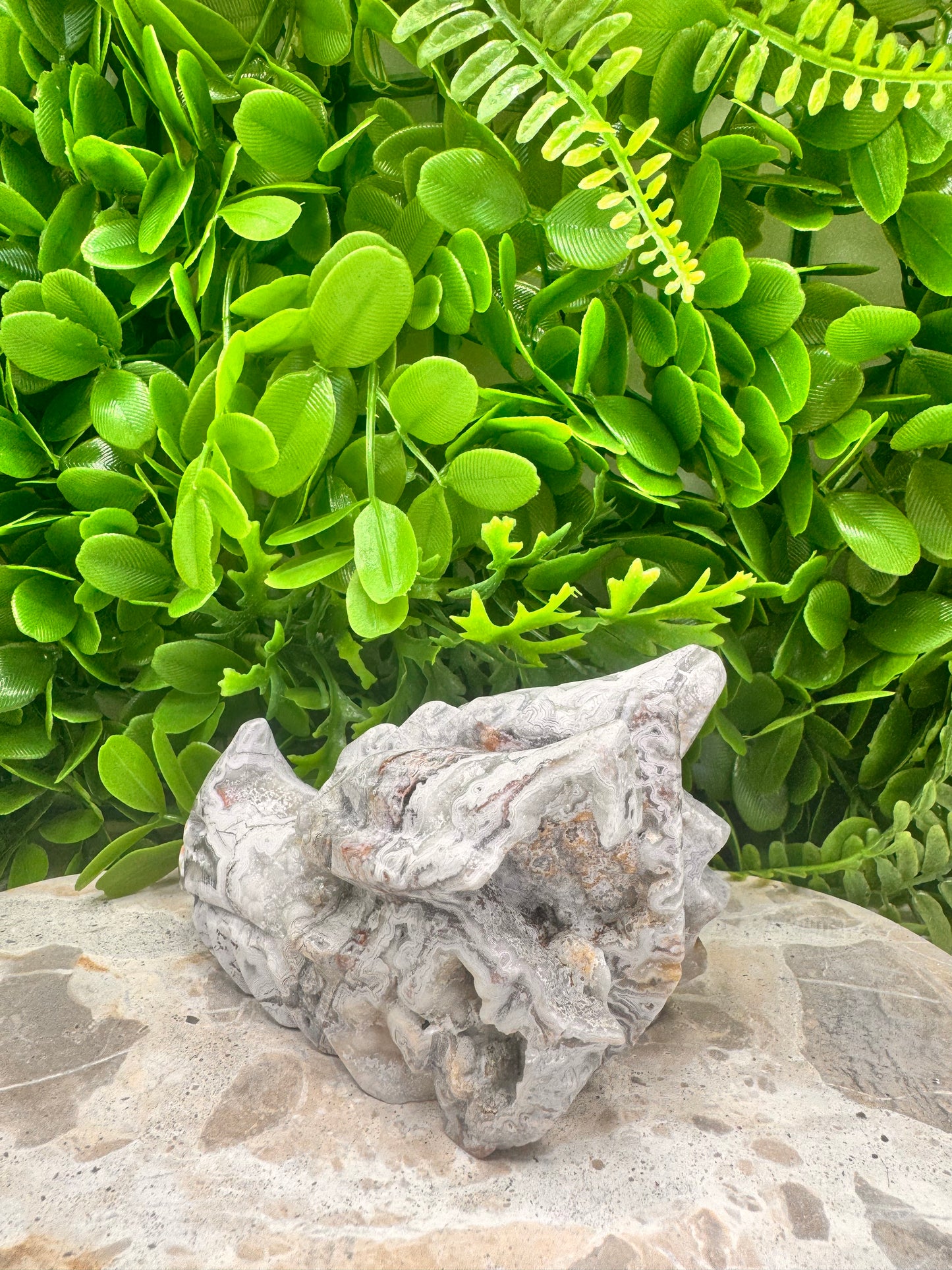 Mexican Agate Druzy Dragon Skull 620g