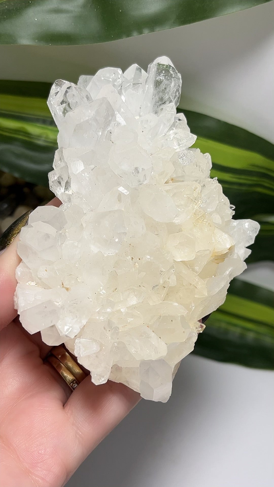 Clear Quartz Cluster 266g