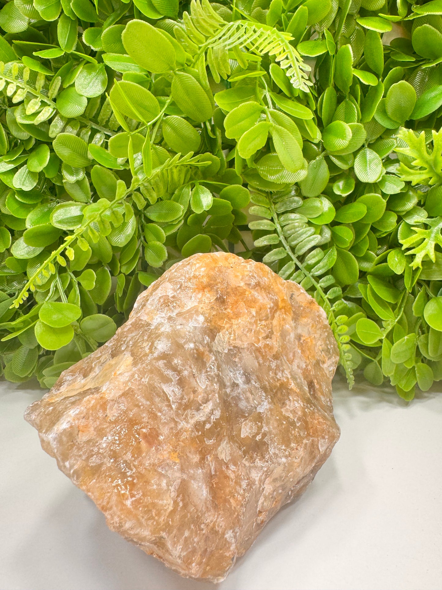 Golden Healer Raw 2060g