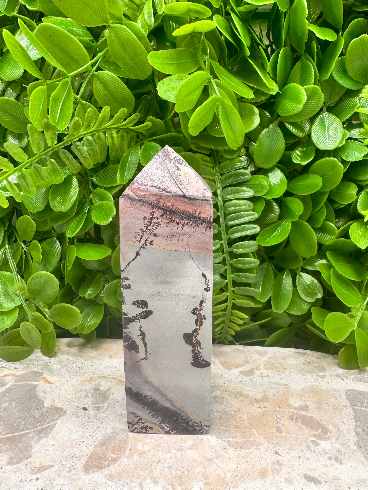 Picture Jasper Tower 256g