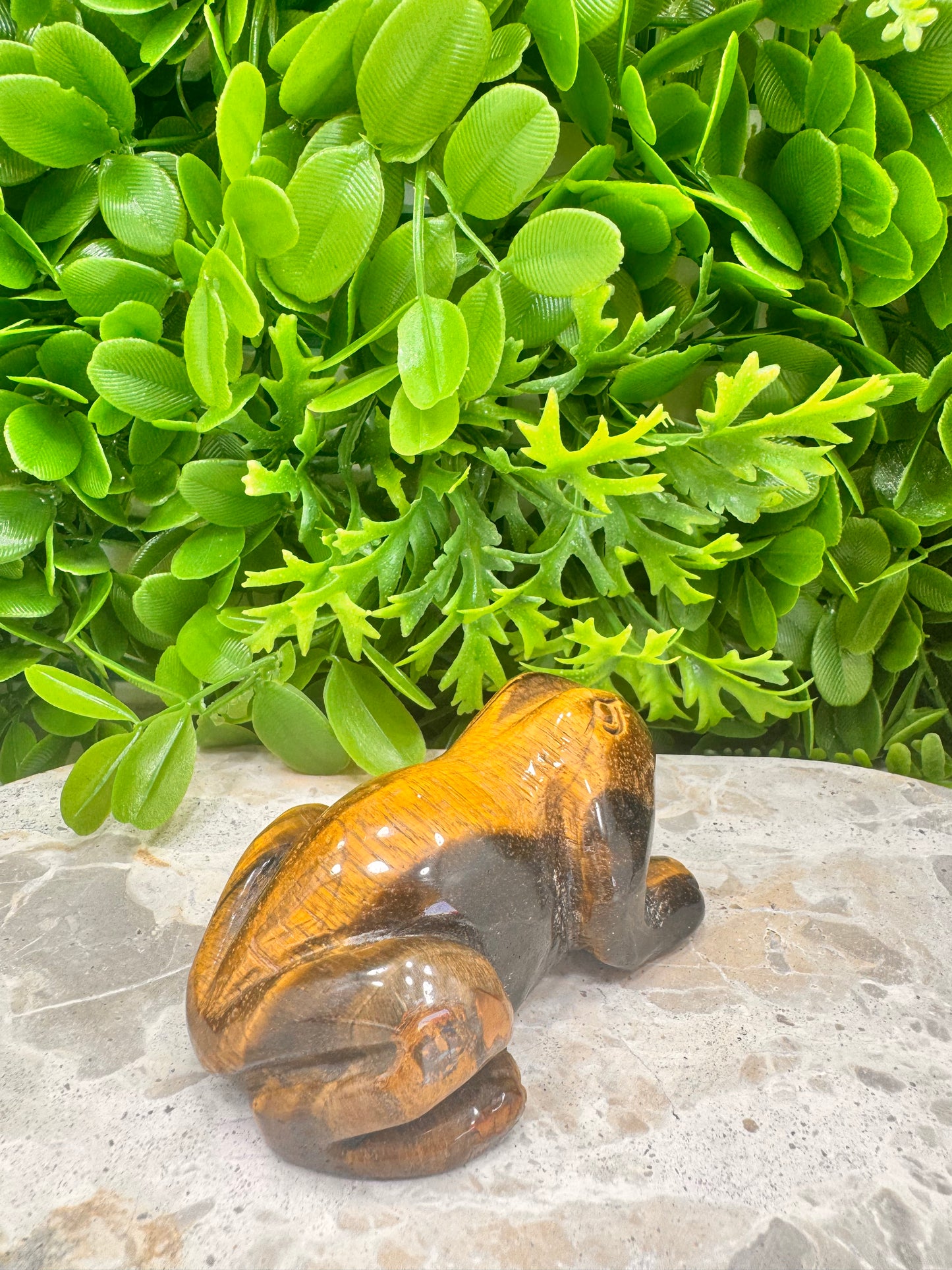 Tiger Eye Frog 260g