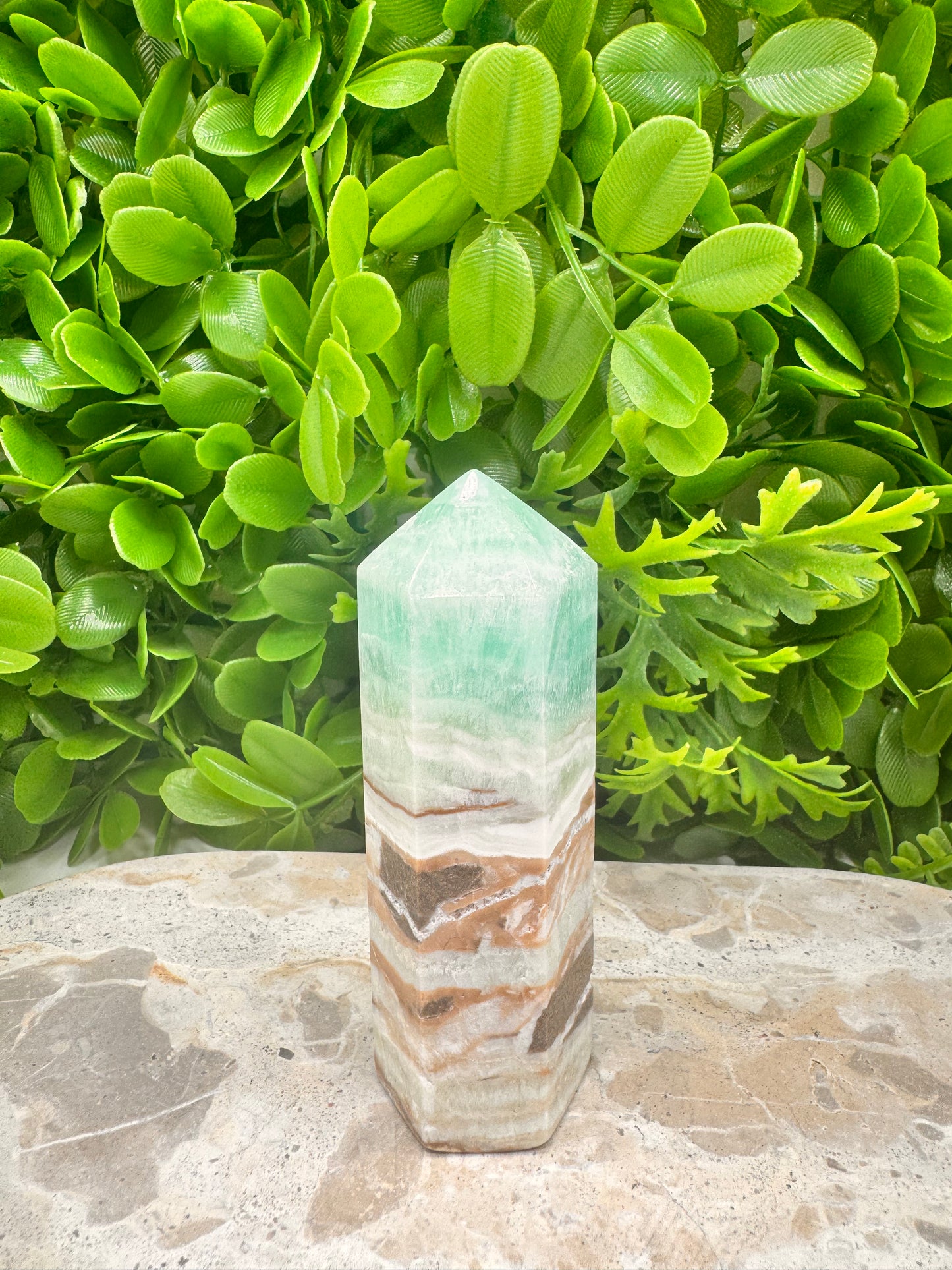 Aragonite PT 214g