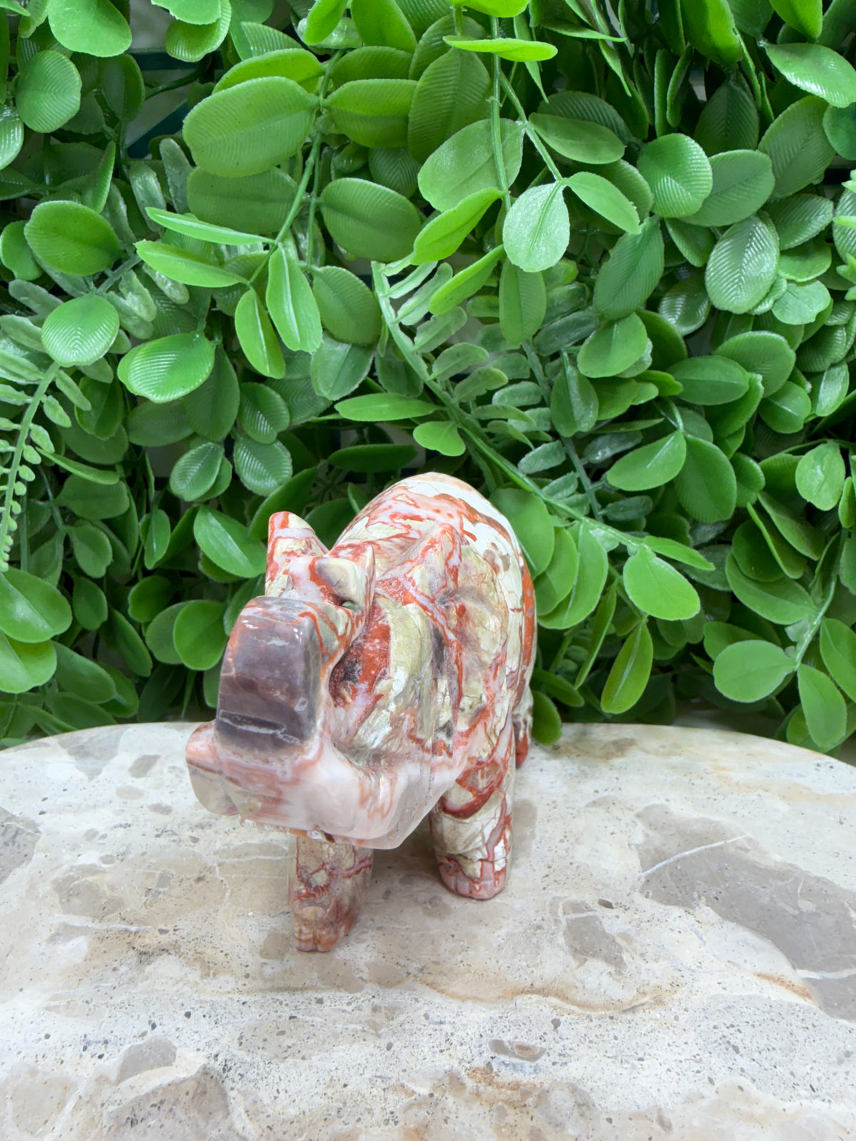 Money Agate Elephant 464g | Abundance • Prosperity • Success