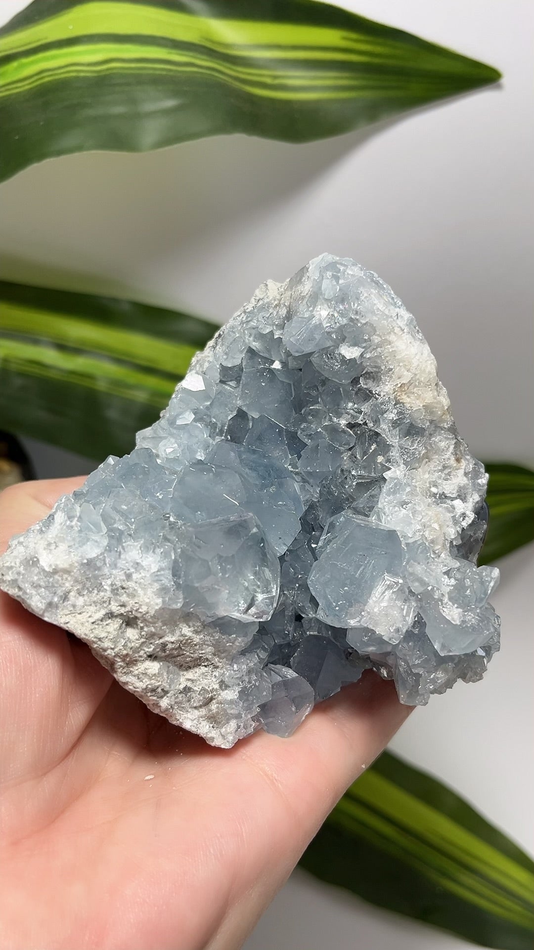 Blue Celestite Cluster 572g