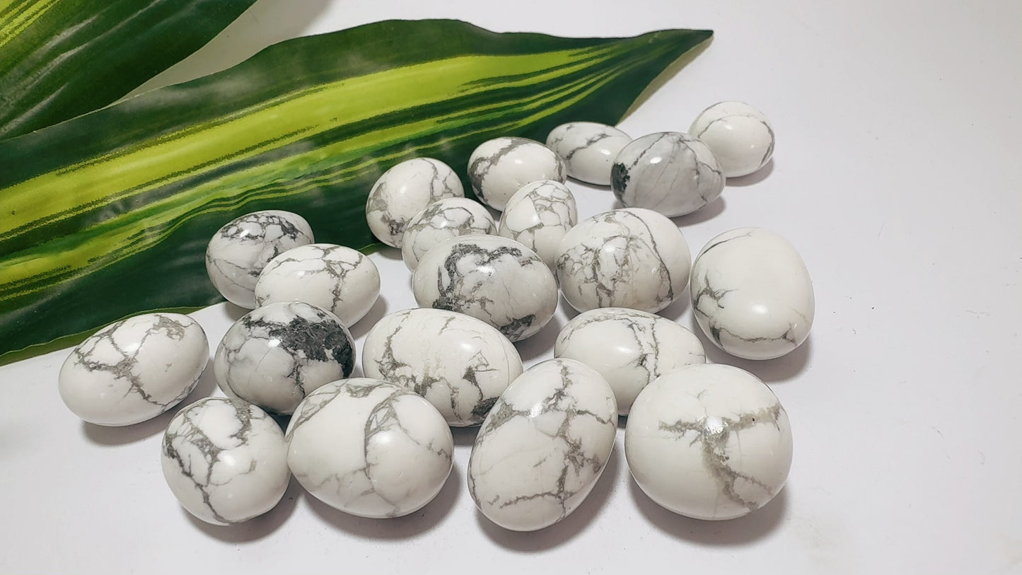 Howlite Tumbles