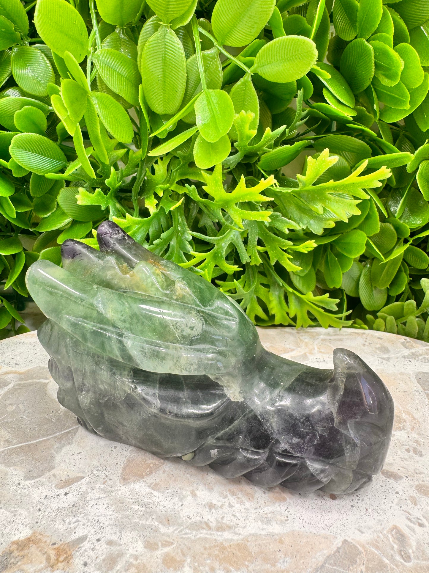 Green Purple Fluorite Dragon 588g