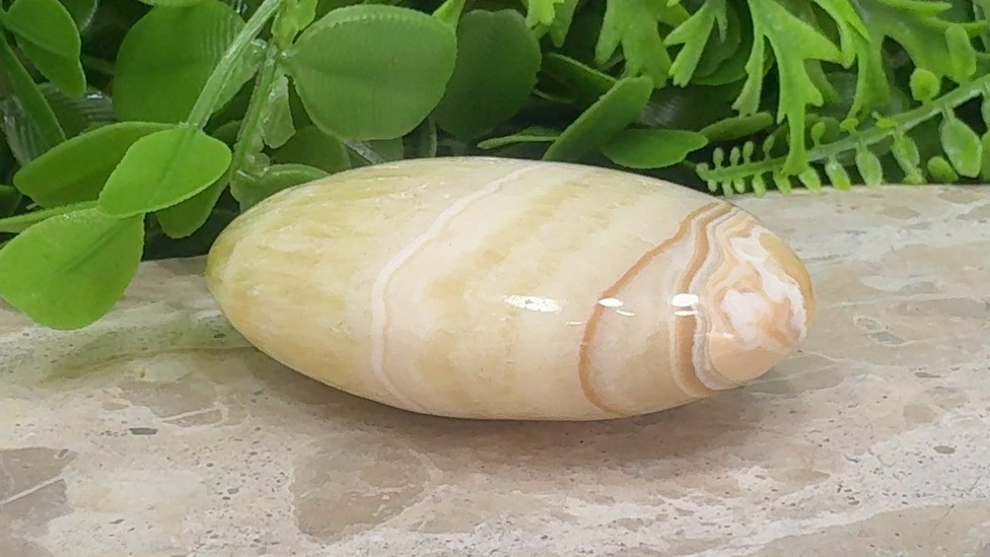 Pineapple Calcite Palm Stone 142g