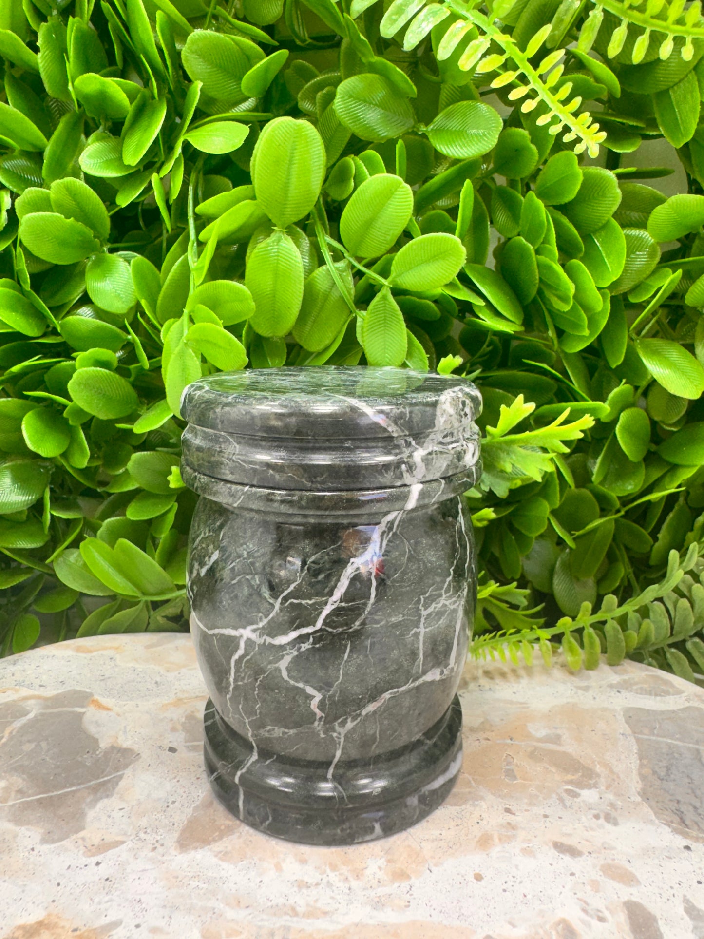 Black Zebra Jasper Jar with lid 472g
