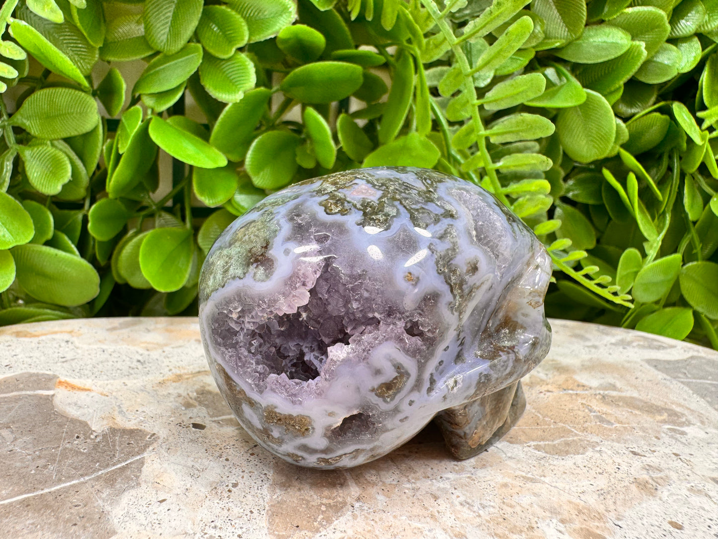 Moss Agate Druzy Skull 268g