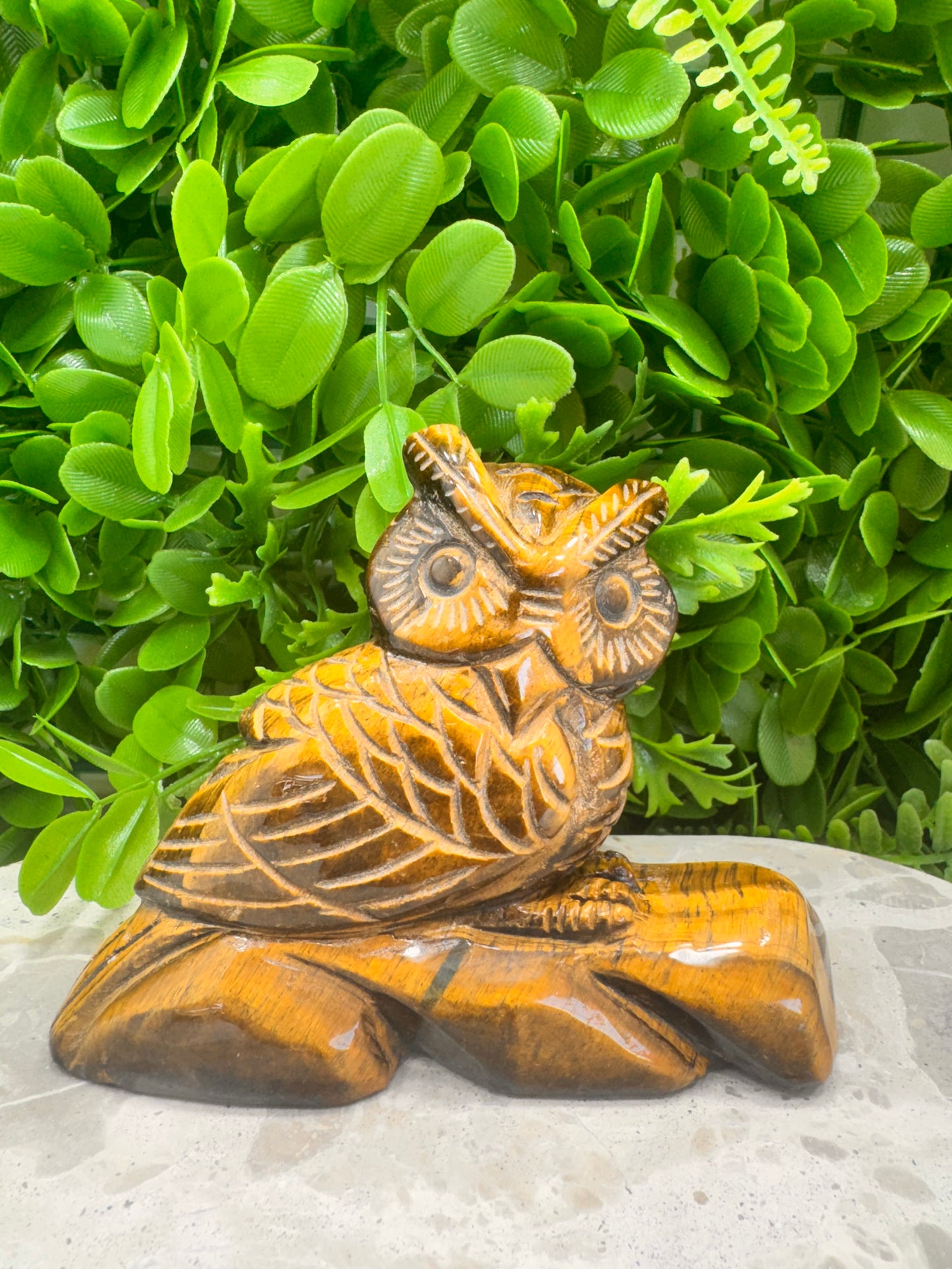Tiger Eye Owl on a Log 590g