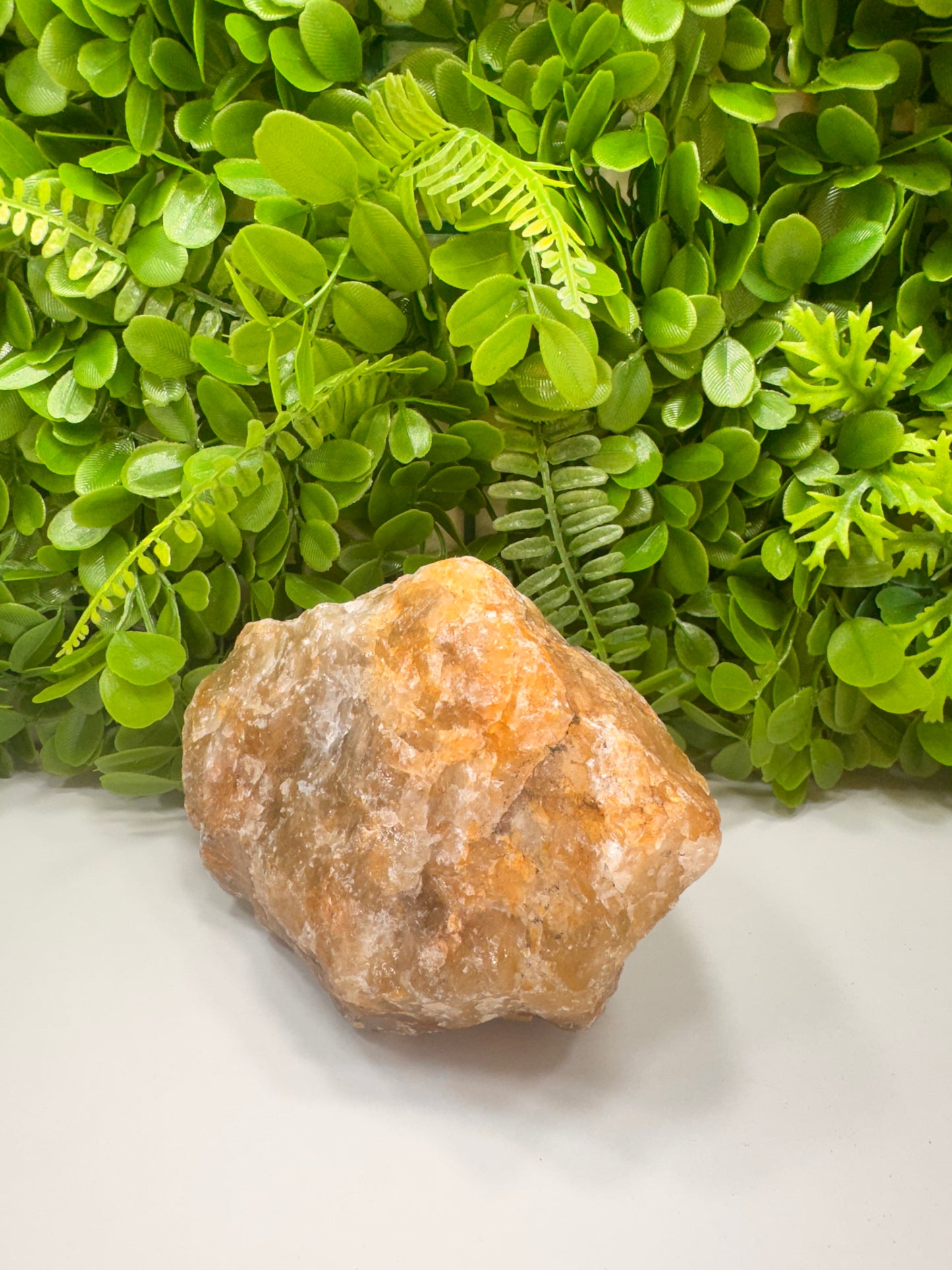 Golden Healer Raw 2060g