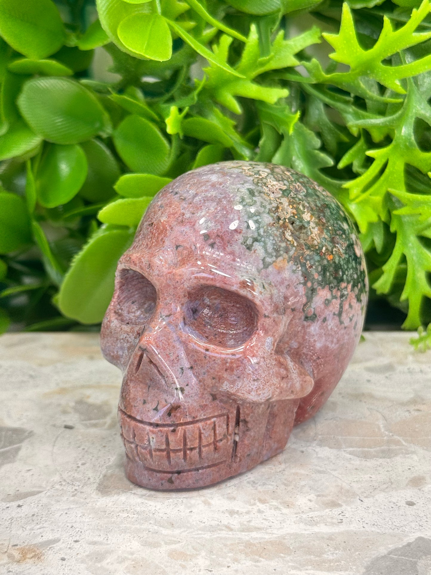 Ocean Jasper Skull 352g