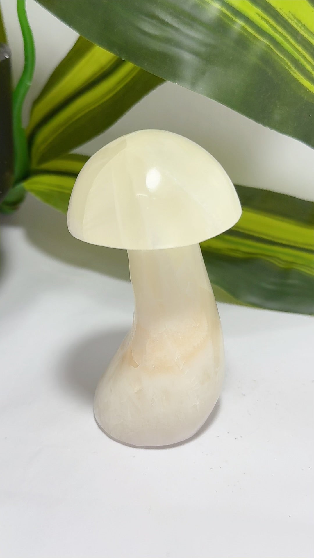 Lemon Calcite Mushroom 236g