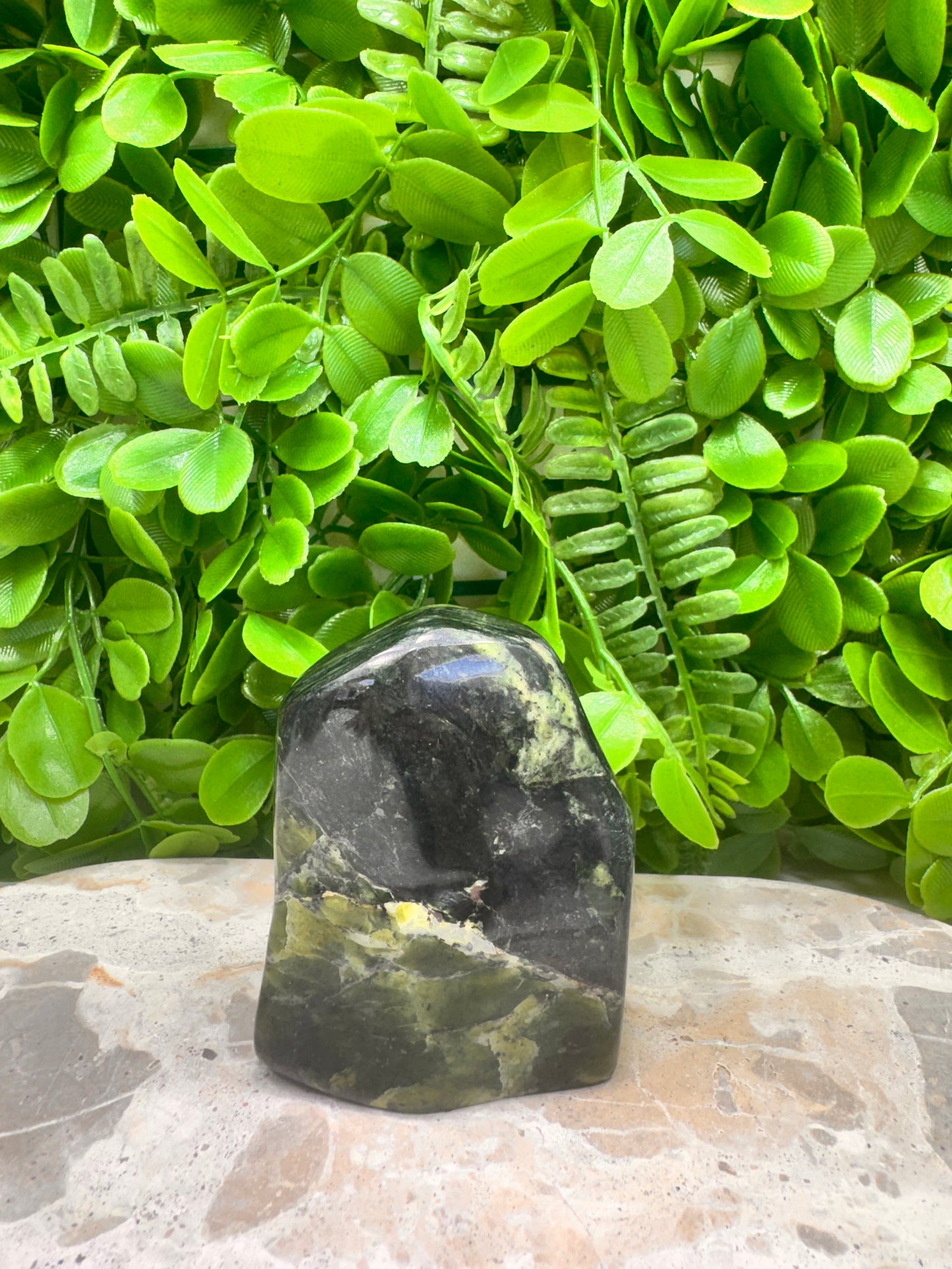 Nephrite Jade Freeform 256g