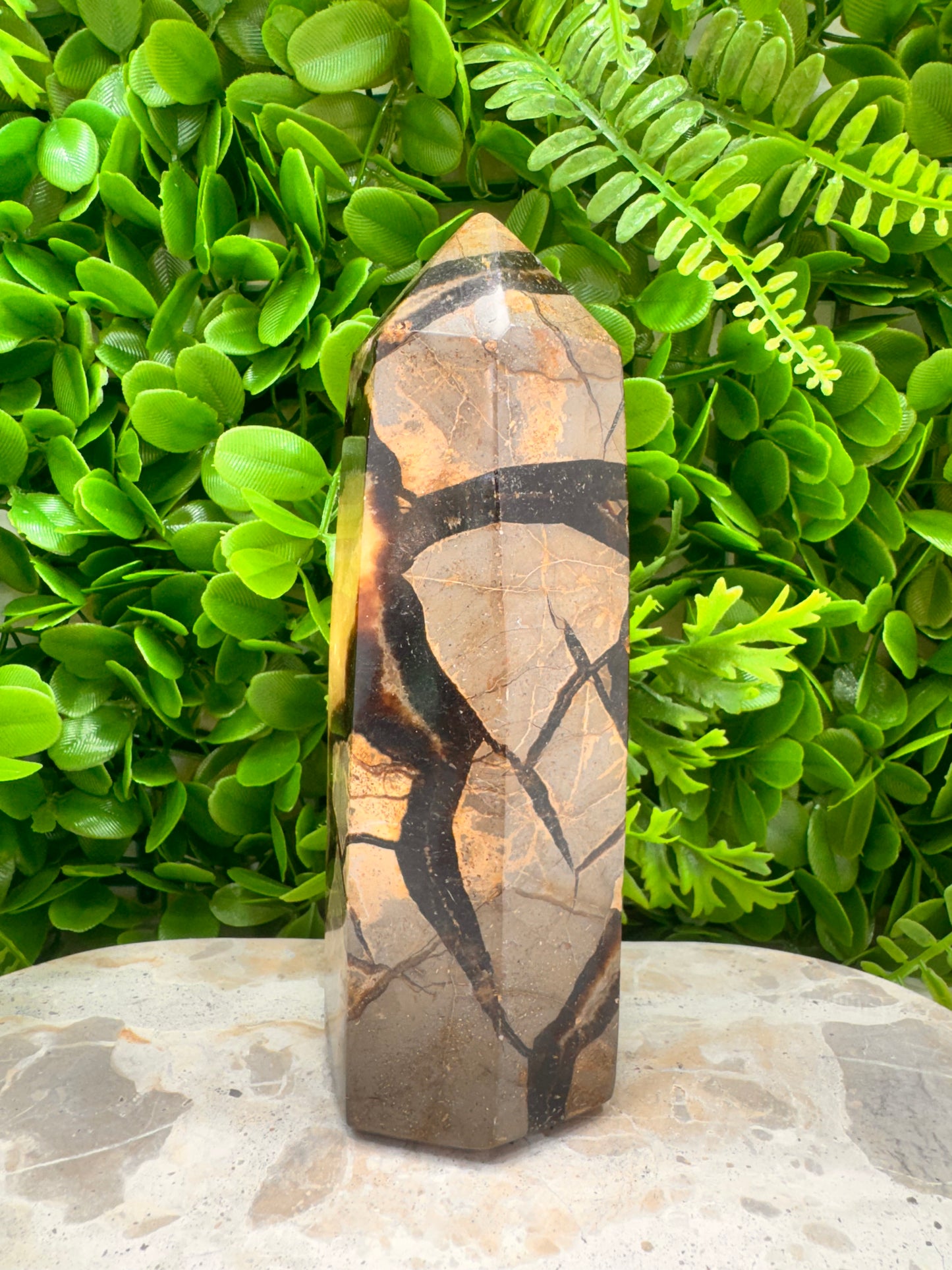 Septarian Tower 910g