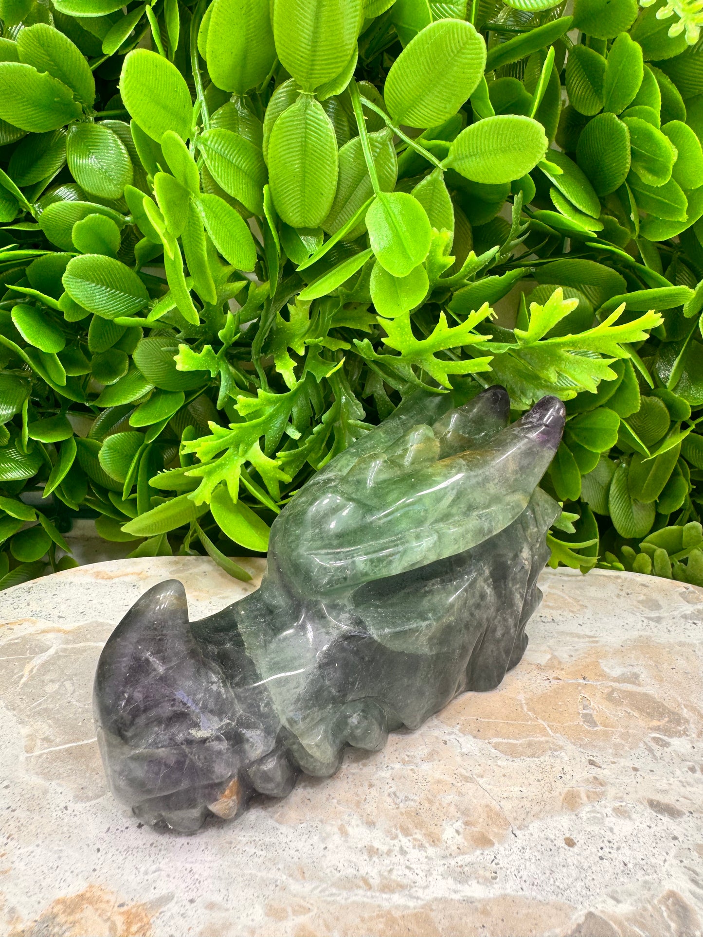 Green Purple Fluorite Dragon 588g