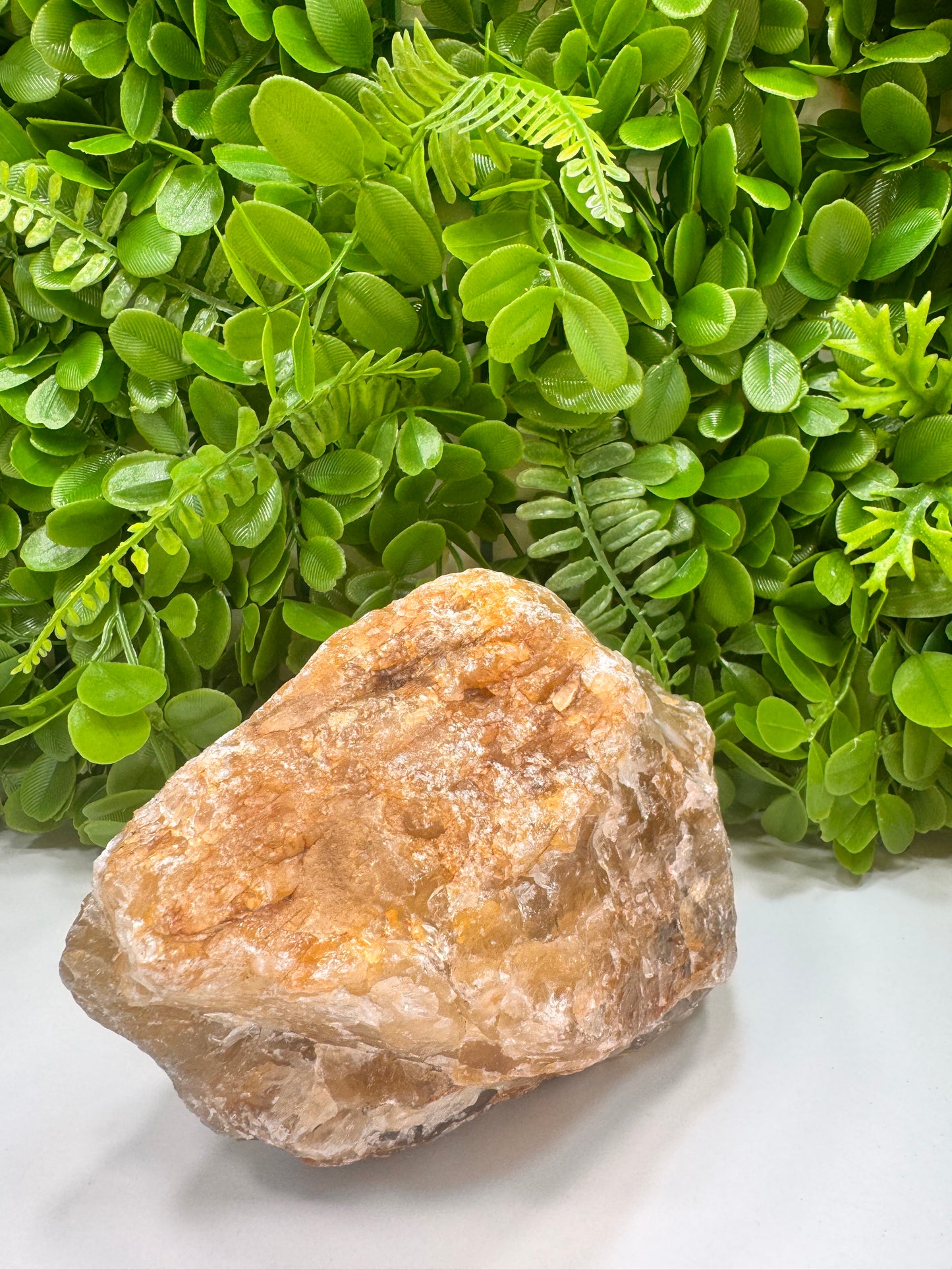 Golden Healer Raw 2060g