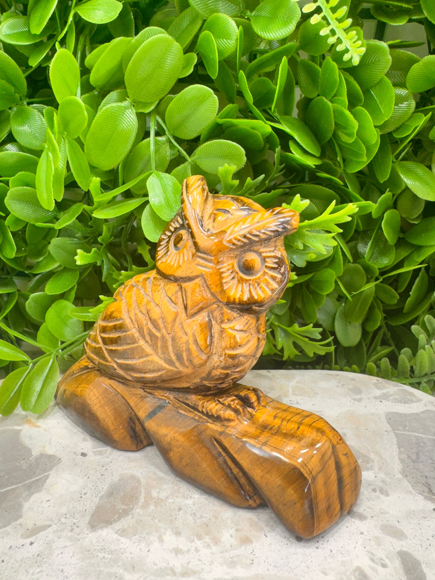 Tiger Eye Owl on a Log 590g