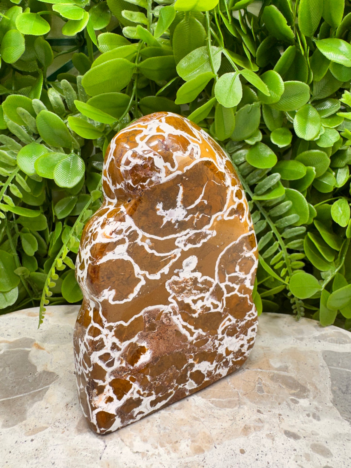 Jasper Agate Freeform 568g