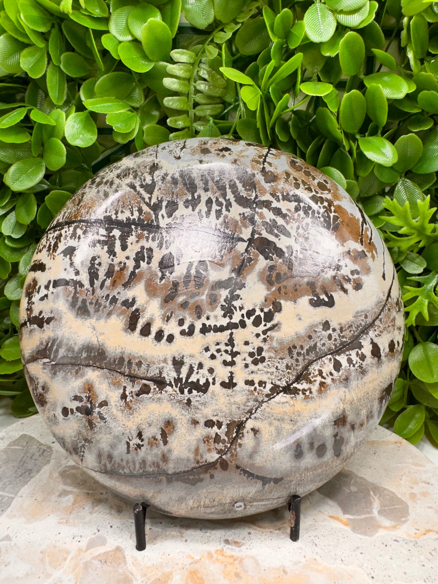 Picture Jasper Plate 710g