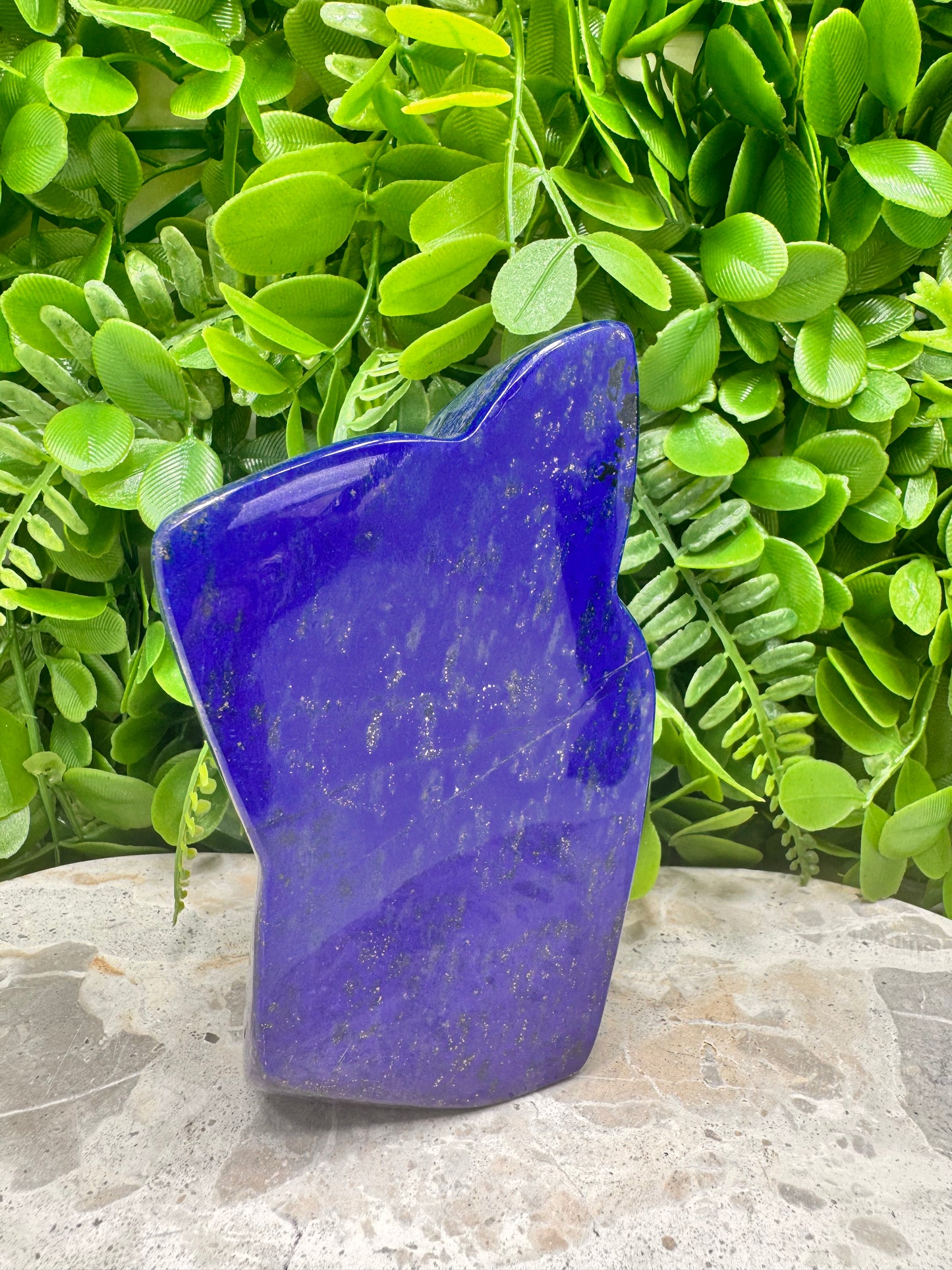 Lapis Lazuli Freeform 672g