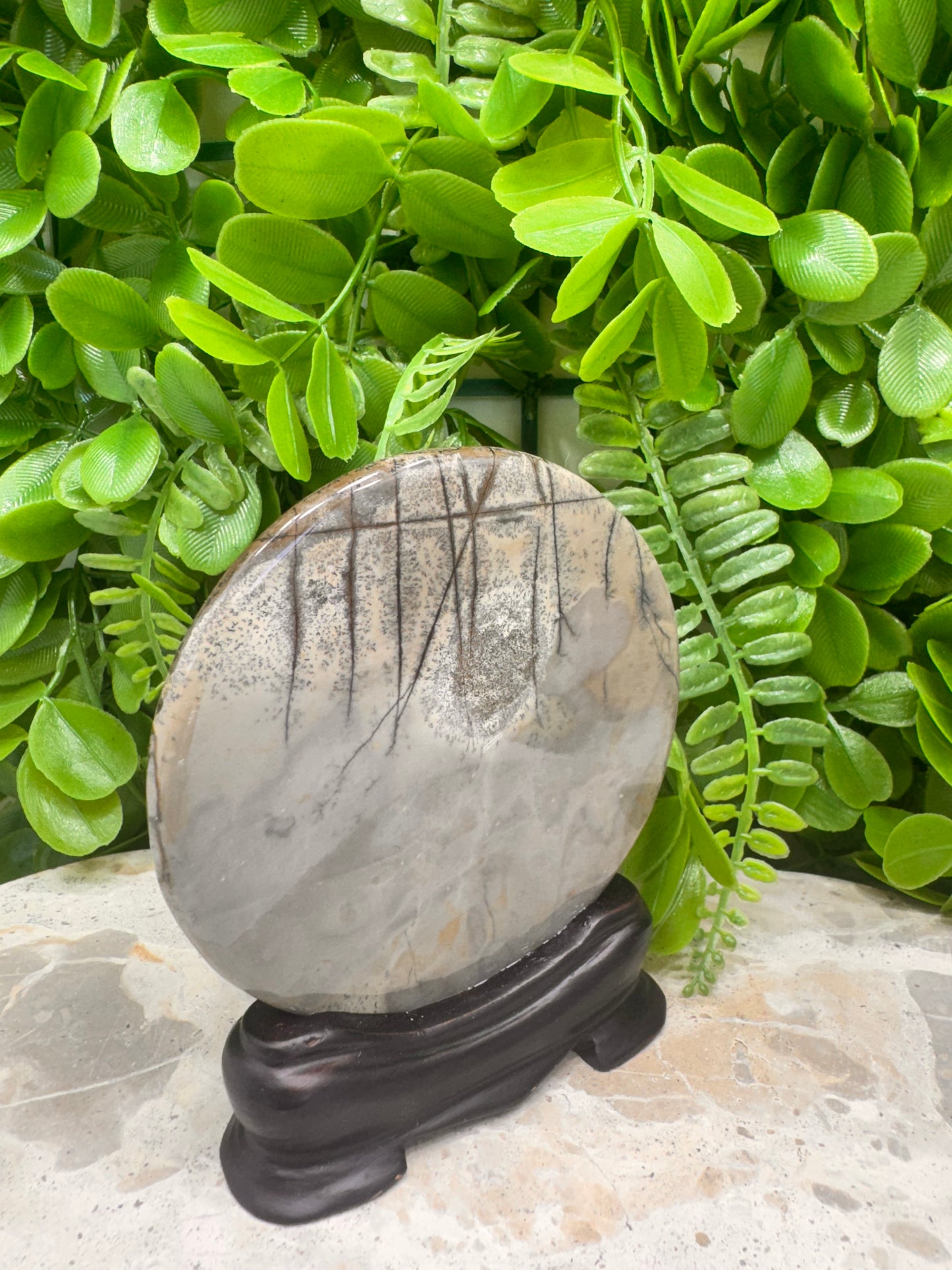 Picture Jasper In Frame 135g