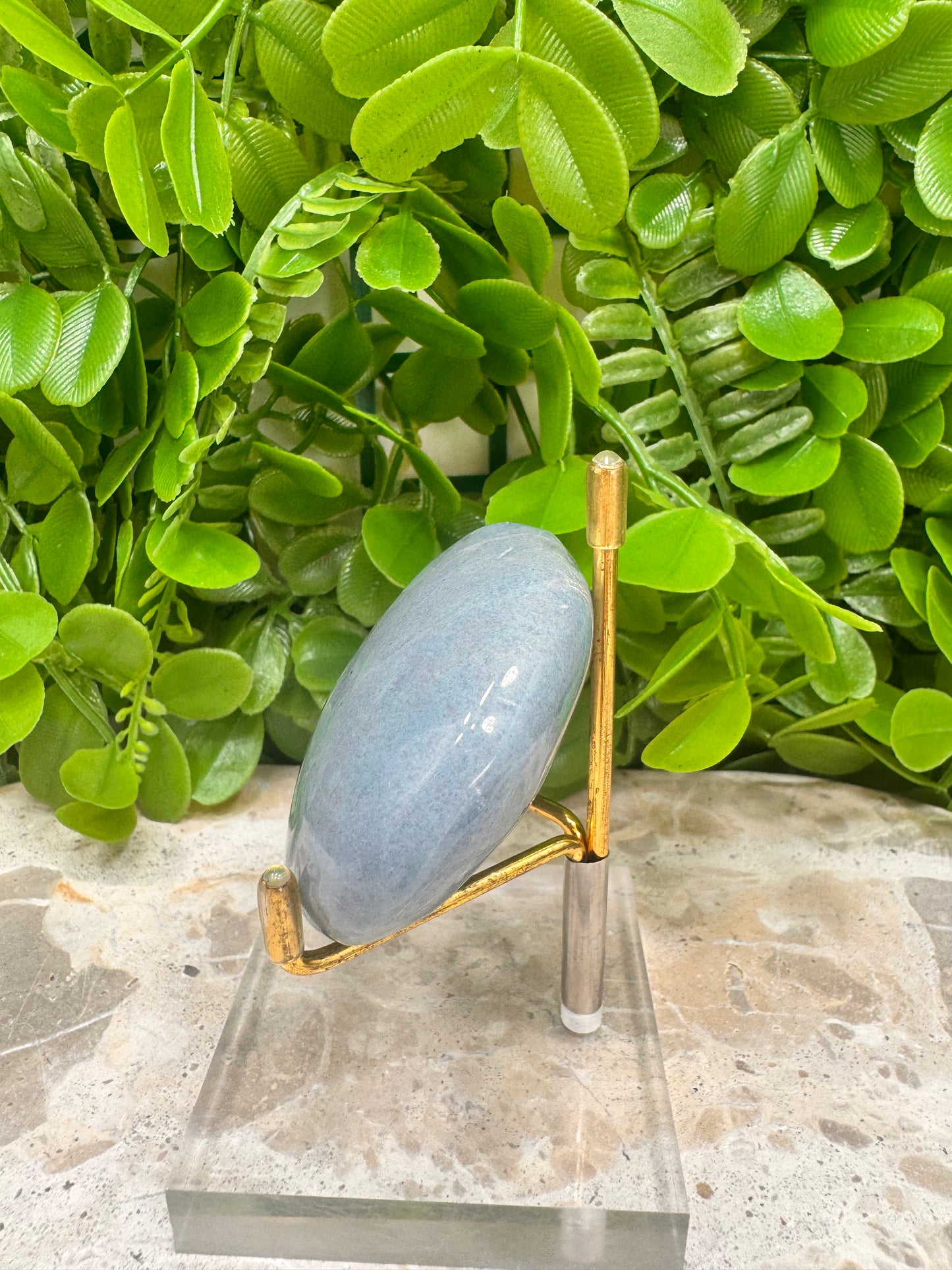 Trolleite Palm Stone 139g