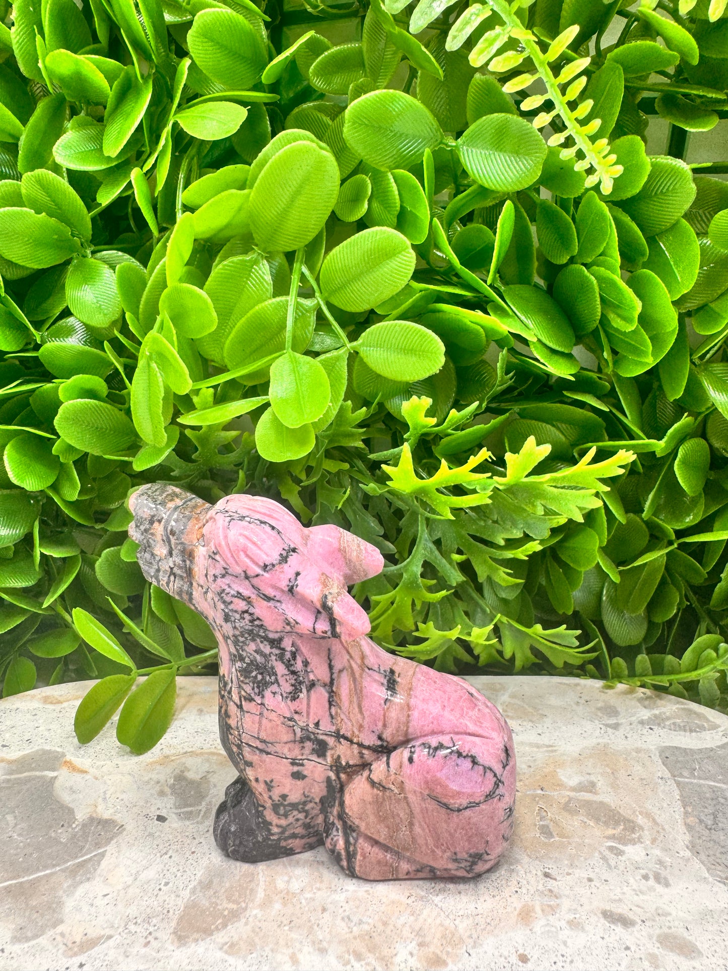 Rhodonite Wolf 358g