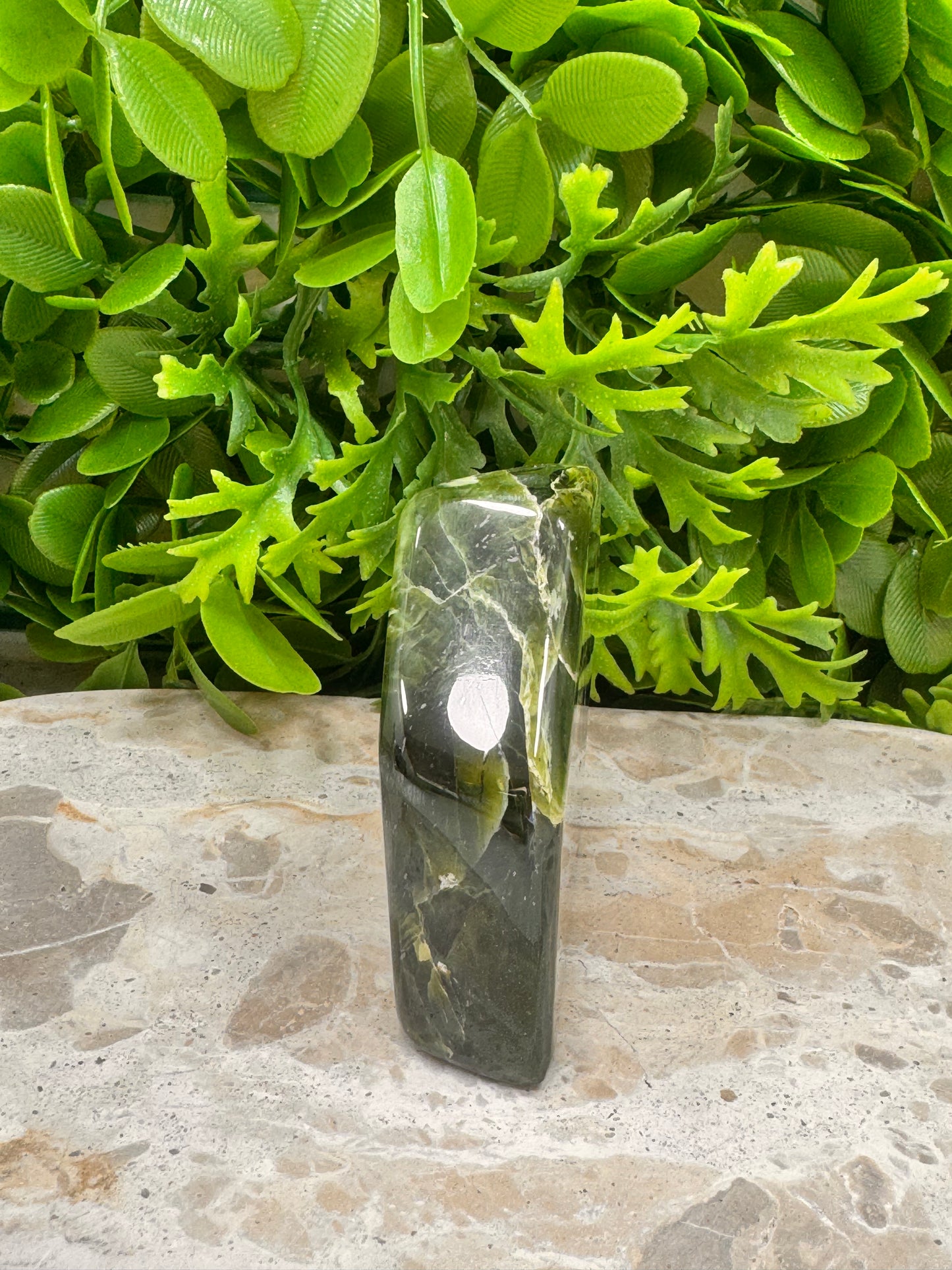 Nephrite Jade Freeform 238g