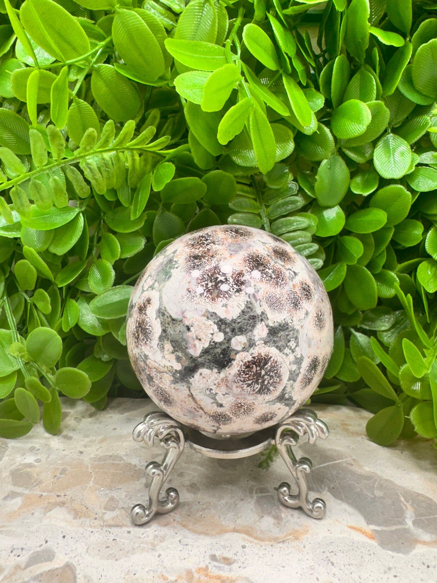 Russian Flower Agate Sphere 559g