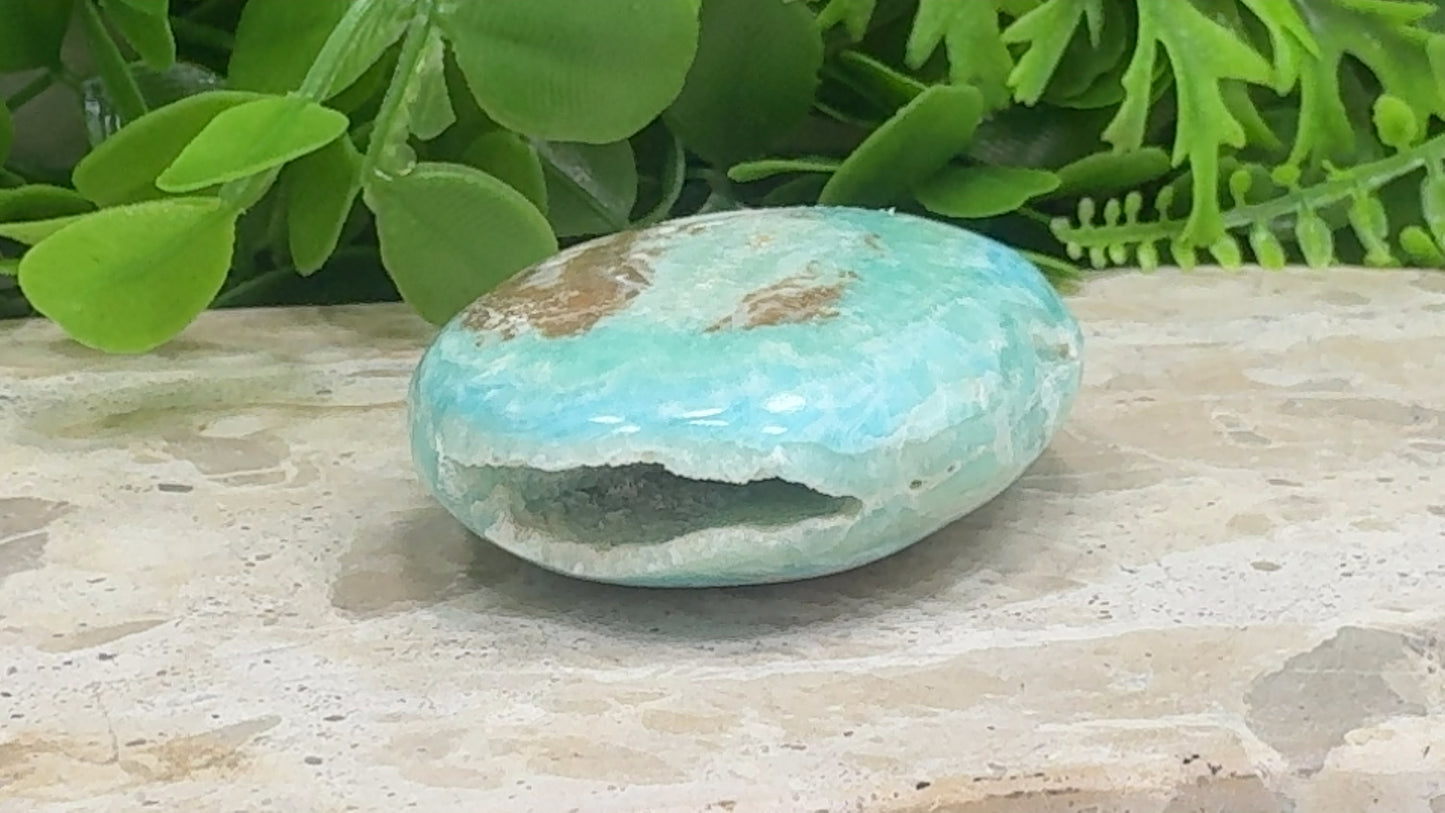 Aragonite Palm Stone 108g