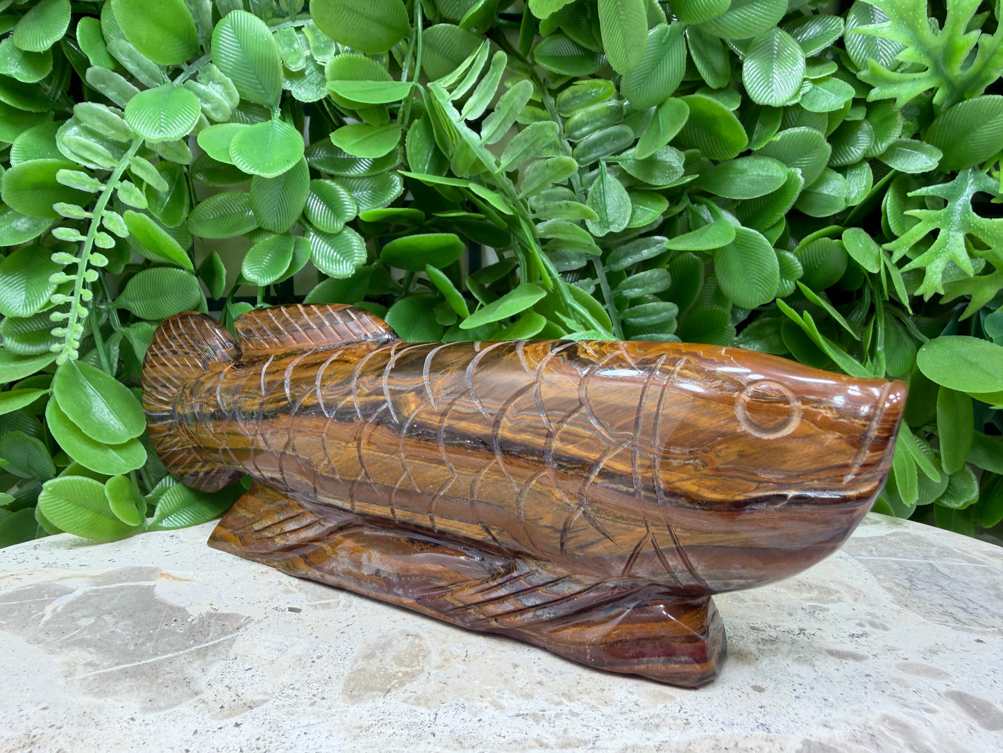 Tiger Eye/Tiger Ore Fish 456g
