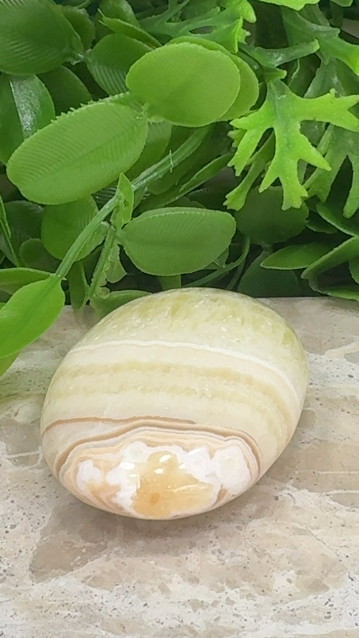 Pineapple Calcite Palm Stone 142g