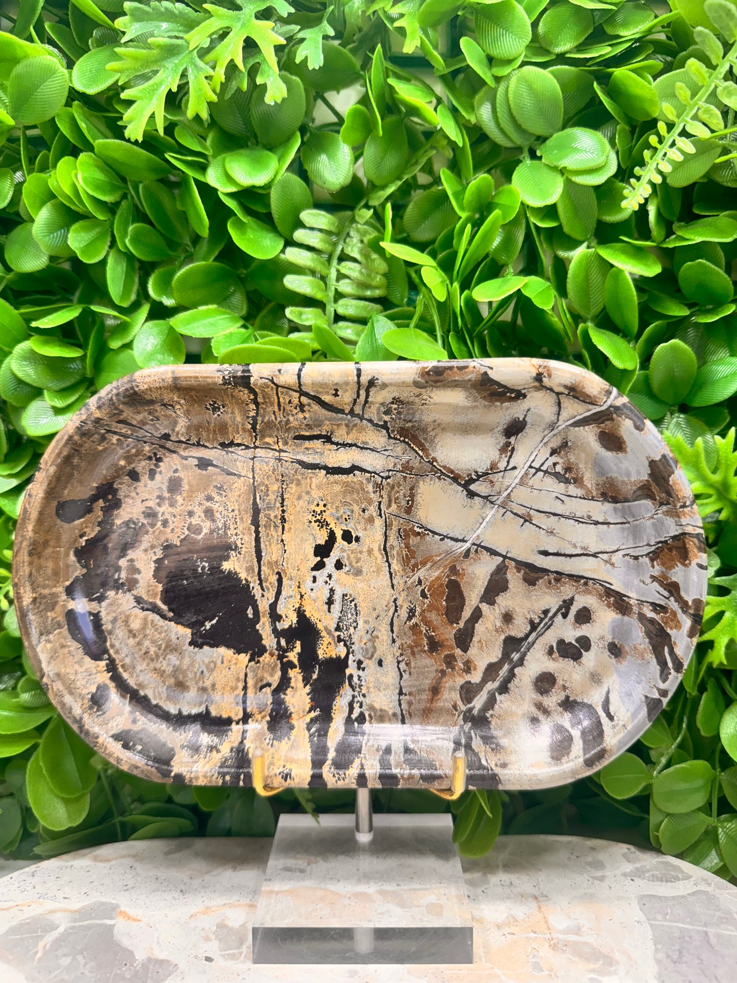 Picture Jasper Dish 504g