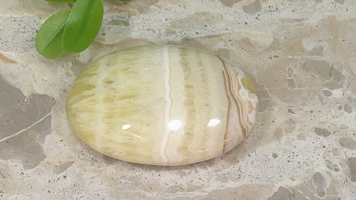 Pineapple Calcite Palm Stone 142g