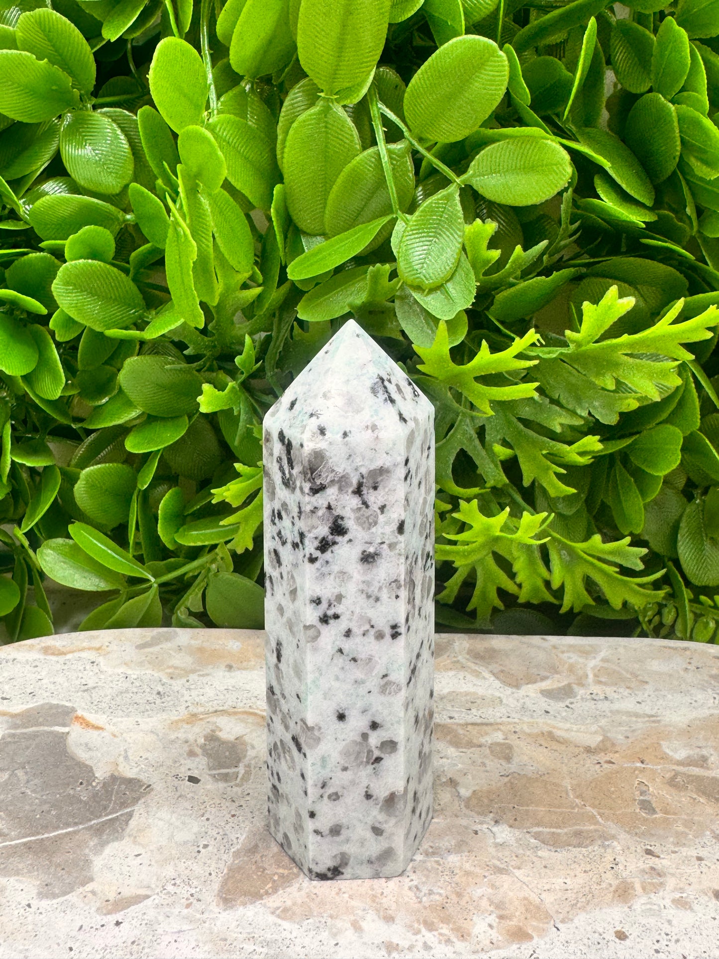 Kiwi Jasper Point 130g